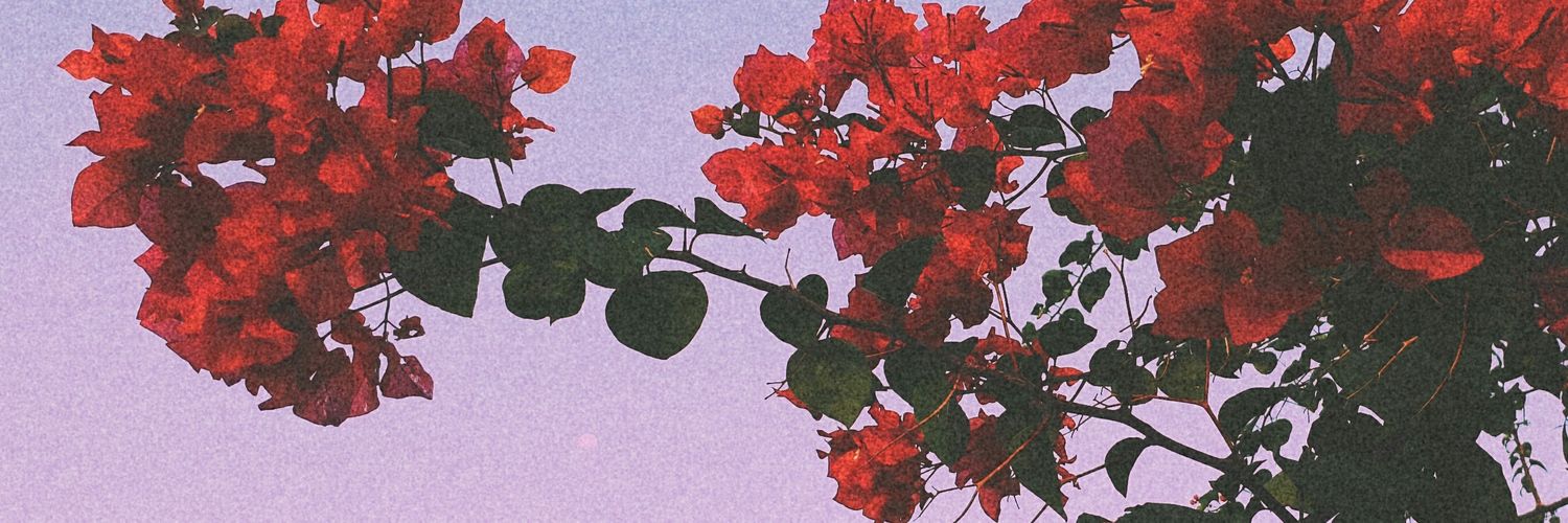 mrAyoku's profile banner image