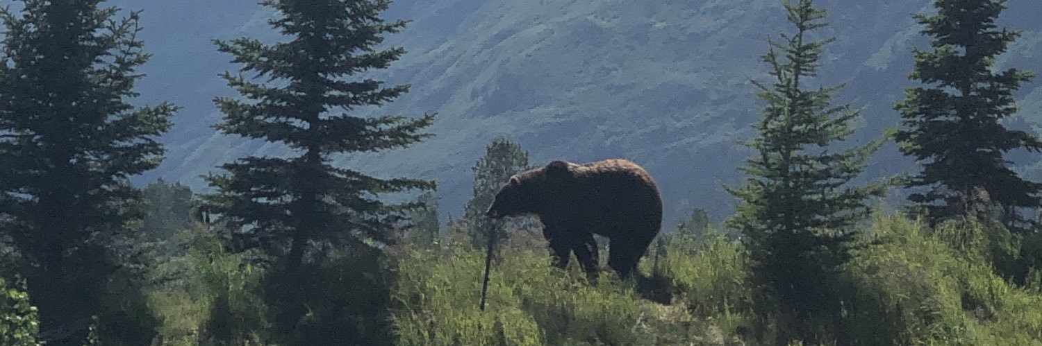 Alaskan_Yeti's profile banner image