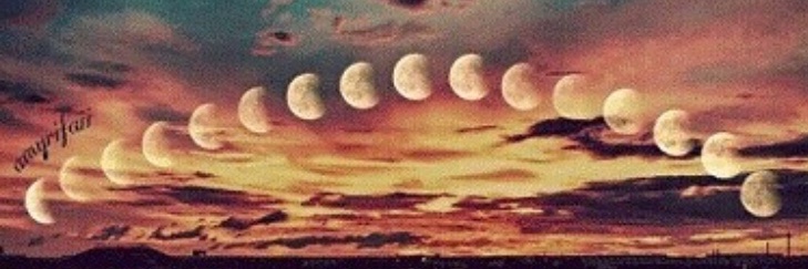 Michelle_PradoG's profile banner image