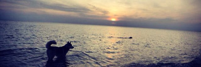 andyxoxo's profile banner image