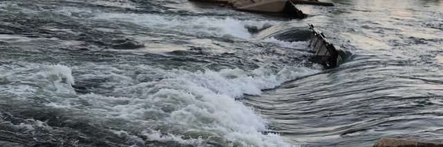 Youngmonkey101's profile banner image