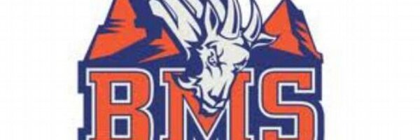 BMSCollegeRPG Profile Banner