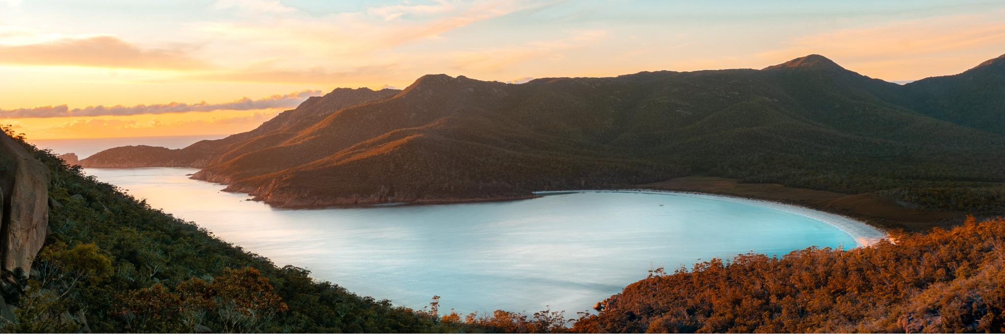 Nick McMillan banner