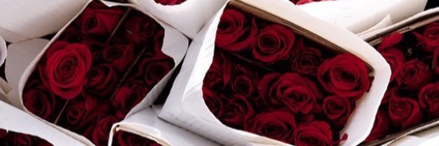 fridamonts's profile banner image