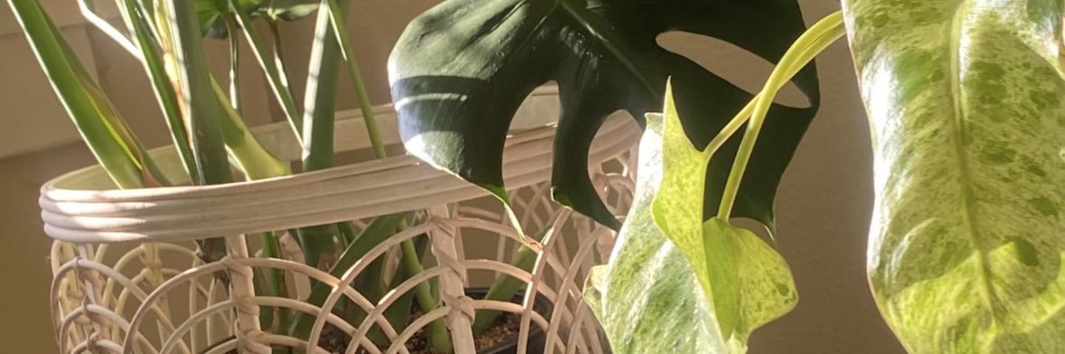 Kionna_b's profile banner image
