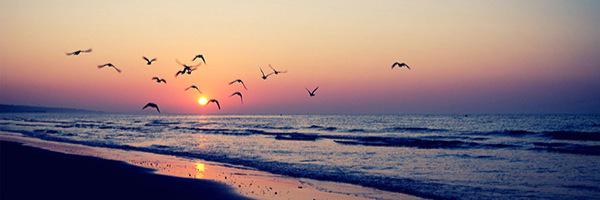 gabyfernandes55's profile banner image