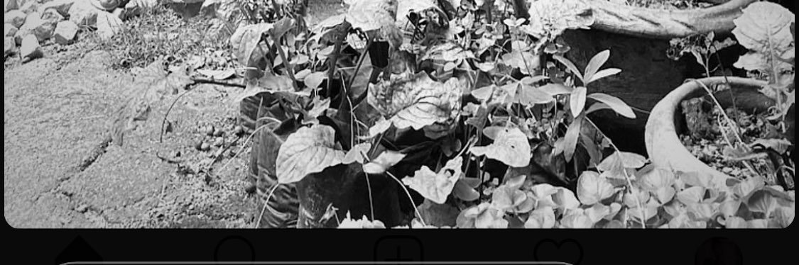 gotodok's profile banner image