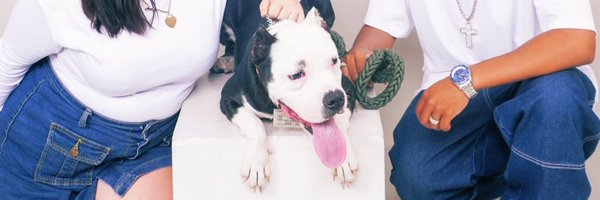 cherry_merlott Profile Banner