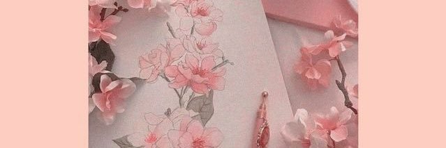 itsplnn banner