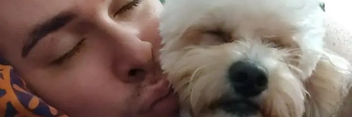 btjsteven2003's profile banner image