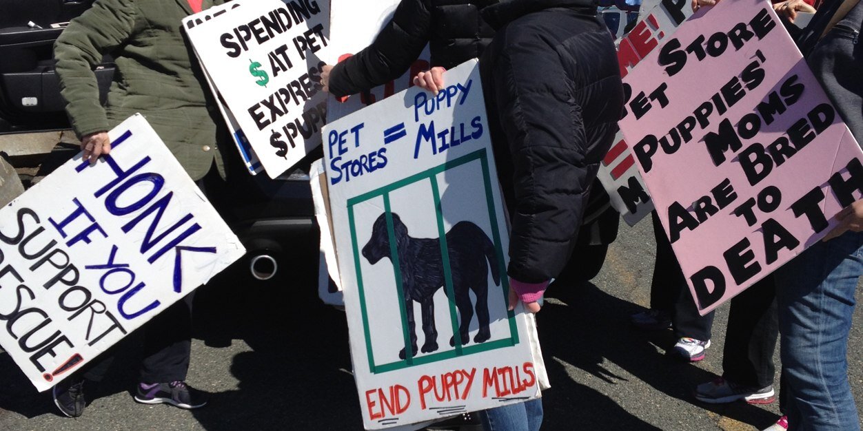 MassEndPupMills's profile banner image