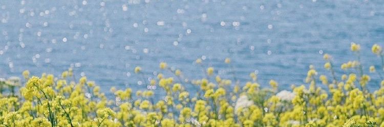 hajarsss's profile banner image