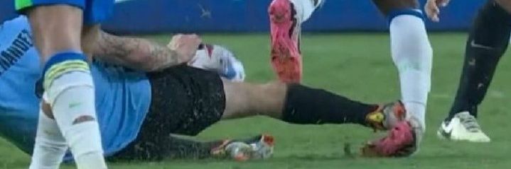 mauriciovignoli's profile banner image