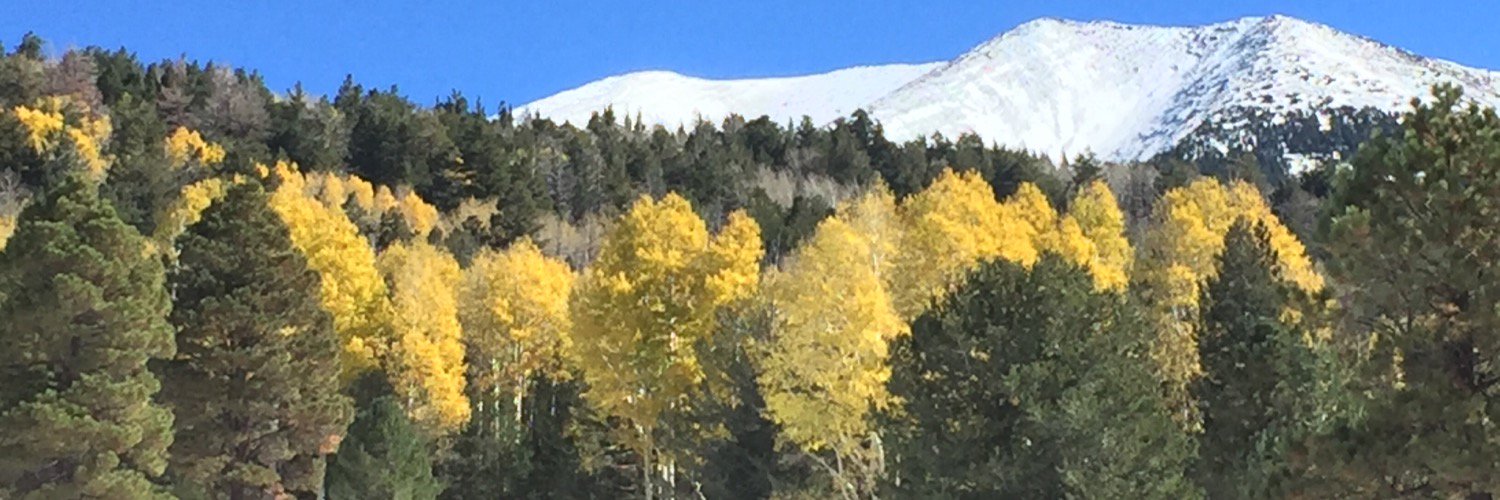 MikeGastonscv's profile banner image