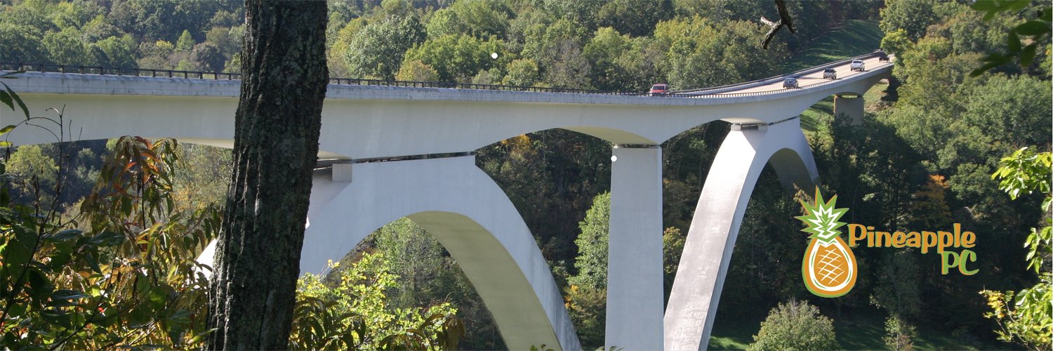 Jeff San George banner