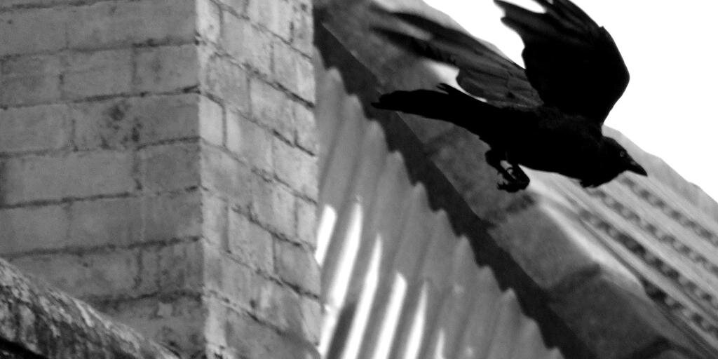 까마귀짤봇 banner