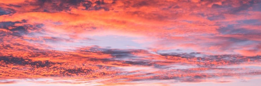 angrybabymonkey's profile banner image