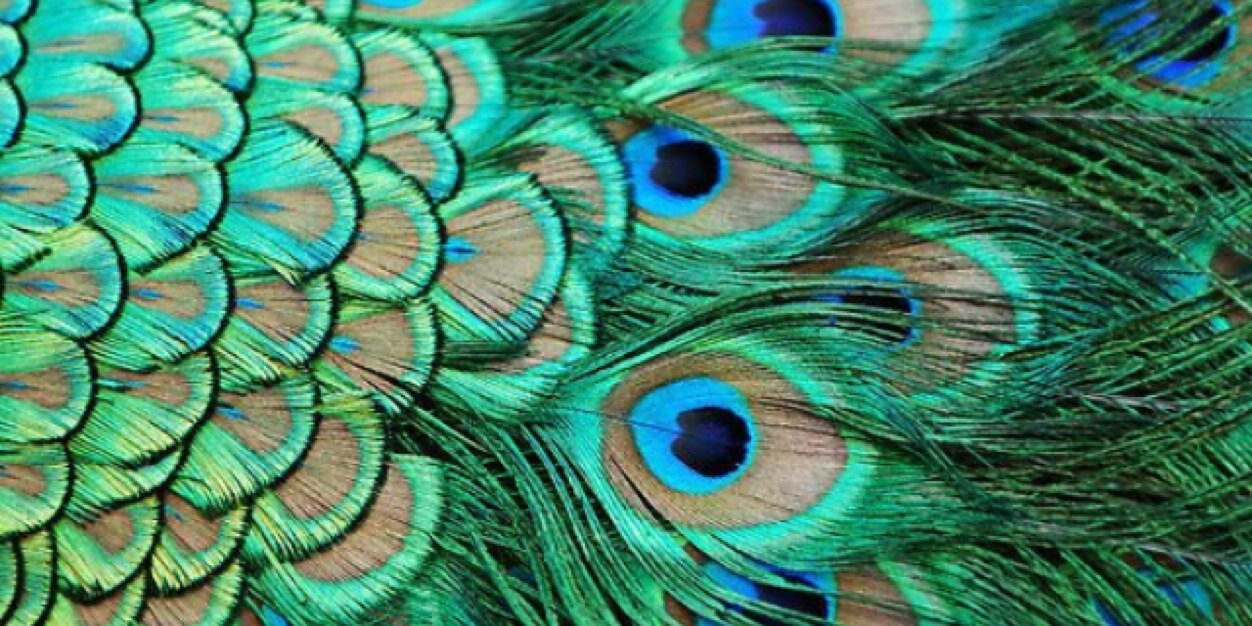 PromoJEM's profile banner image