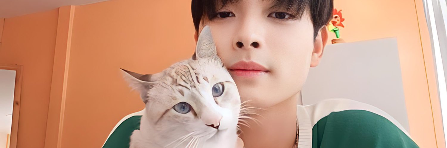 tarnbibe's profile banner image