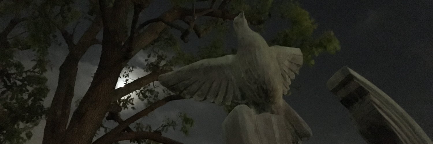 Geoffrey Trousselot banner