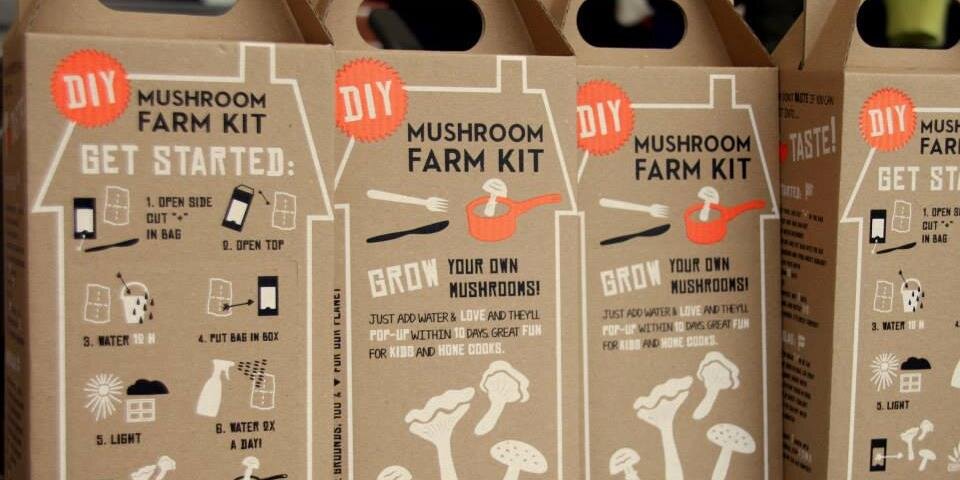 MushroomFarmKit's profile banner image