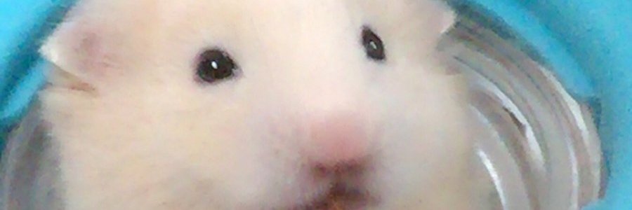 bitsbits7588's profile banner image