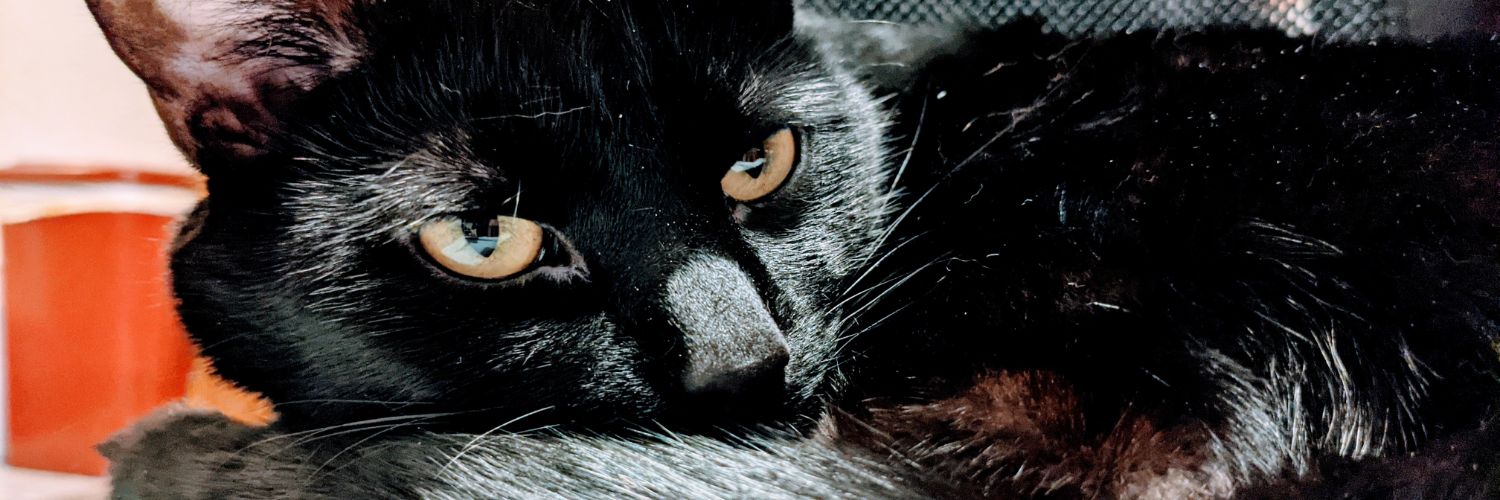 Handamonium Flows banner