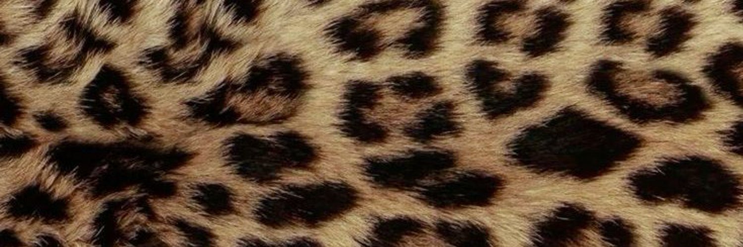 _ohsothatsjae's profile banner image