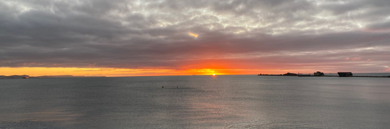 SandySwims1965's profile banner image