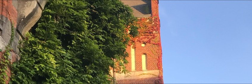klaraekblom's profile banner image