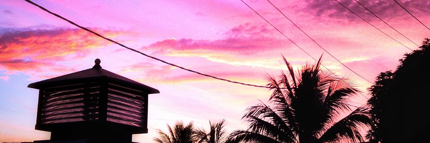 ayammasala's profile banner image