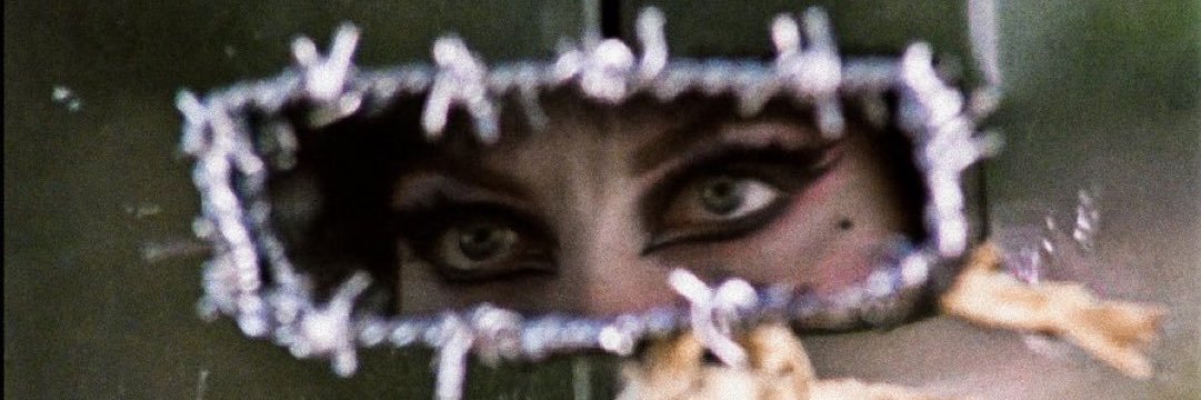 thewheezercarl's profile banner image