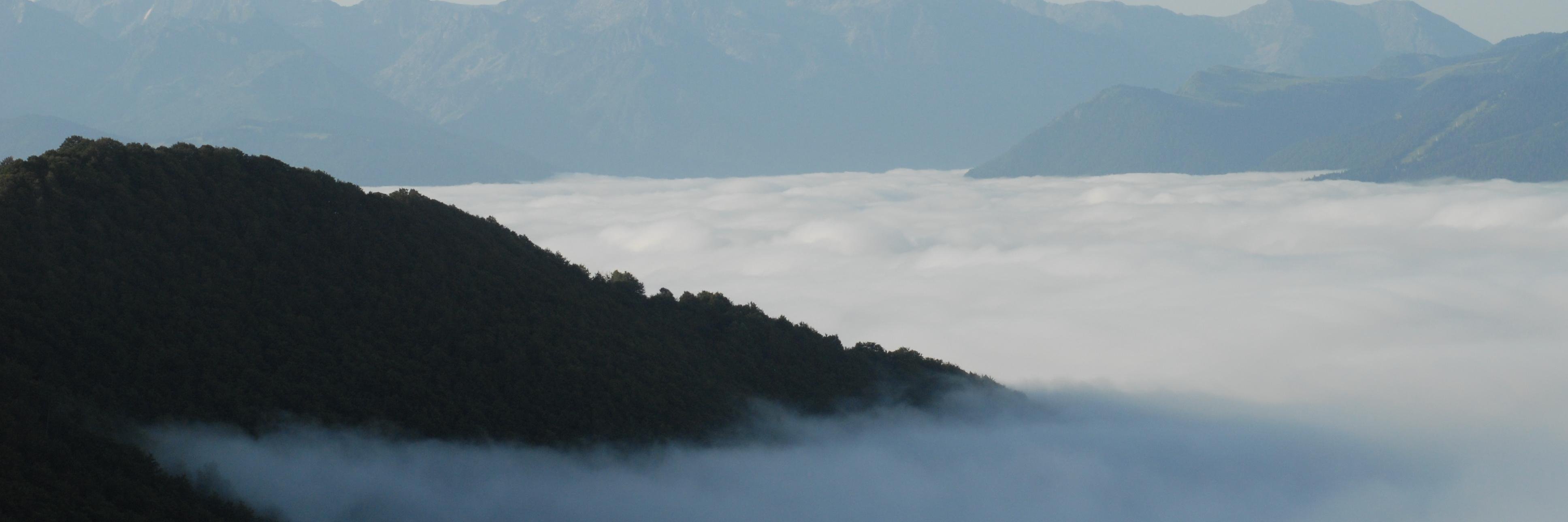 lexalogescan's profile banner image