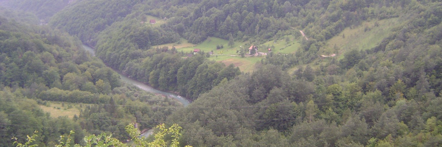 marinachernika's profile banner image
