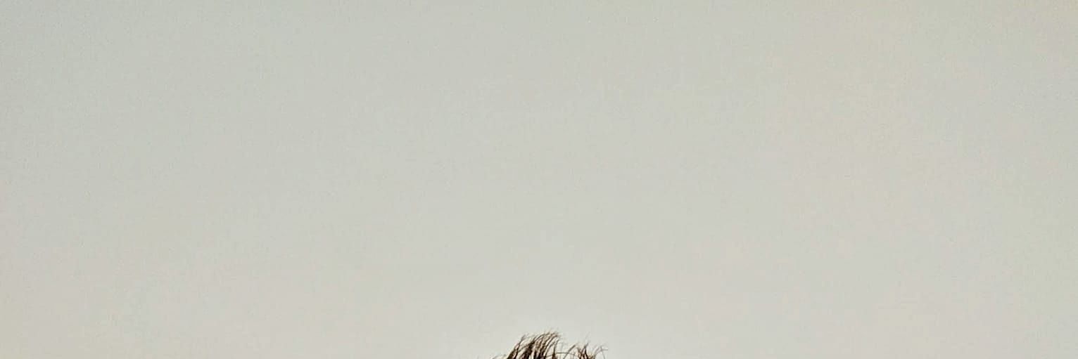 Pol Pastor Sabaté banner