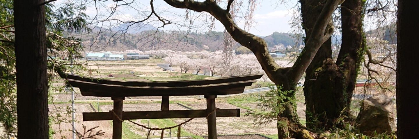 こーすけ banner