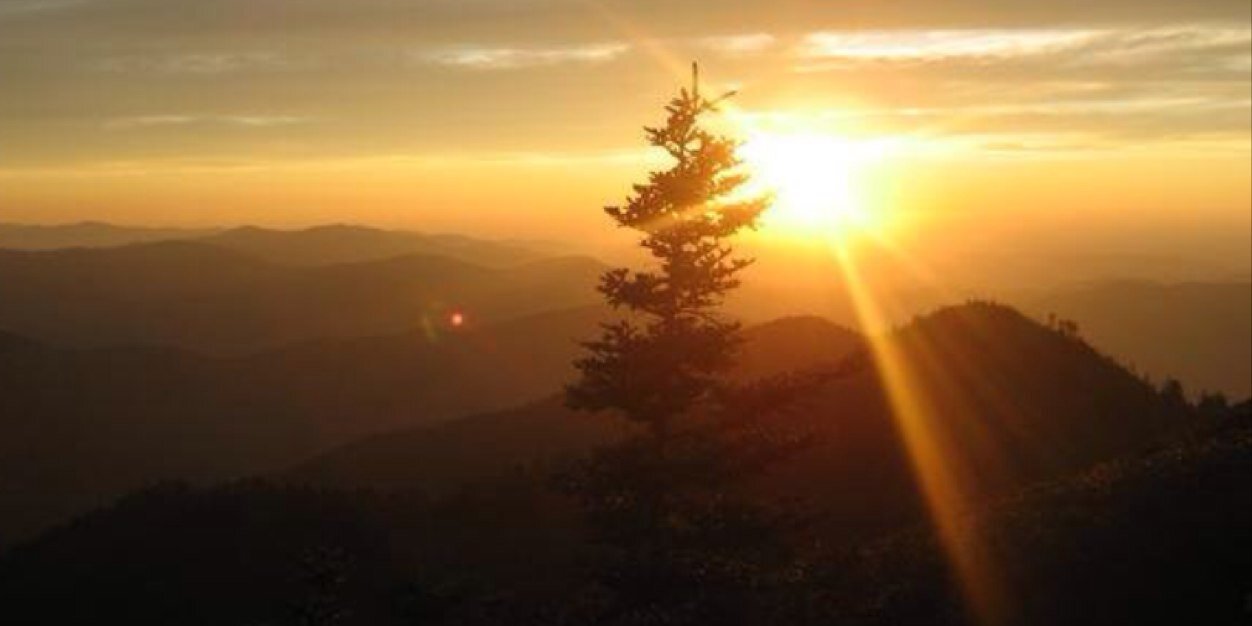 Brandon Perry banner