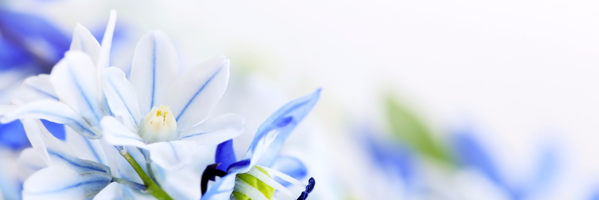 unityXXI's profile banner image