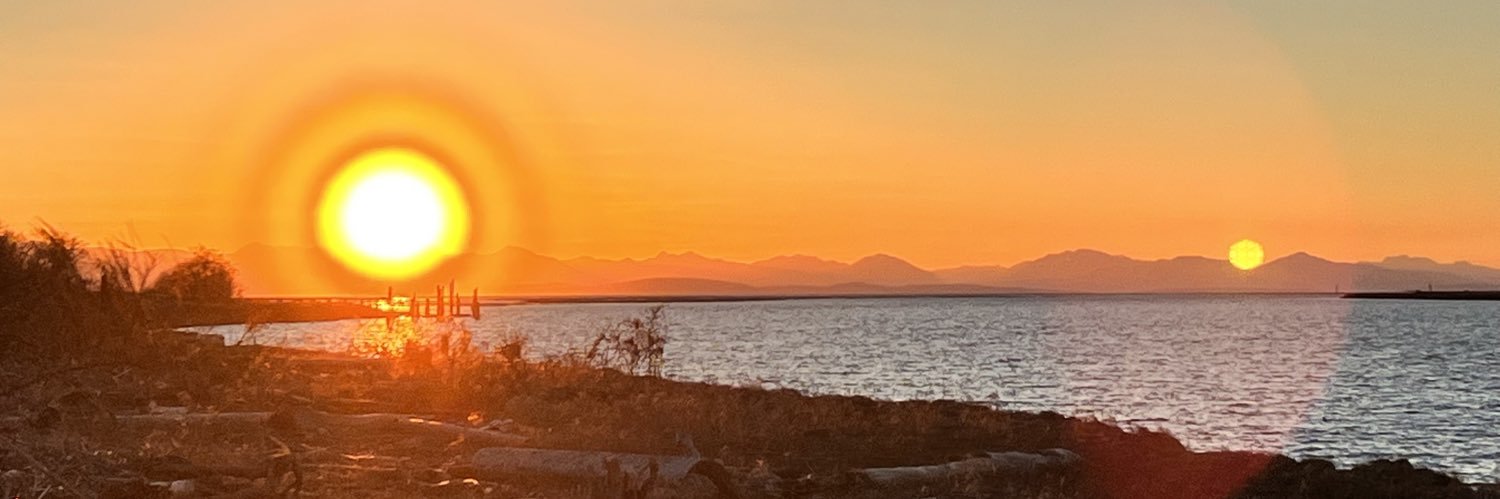 rottenskull's profile banner image