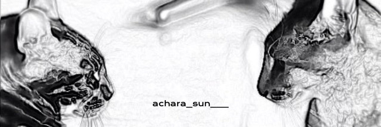 ACHARA_SUN's profile banner image