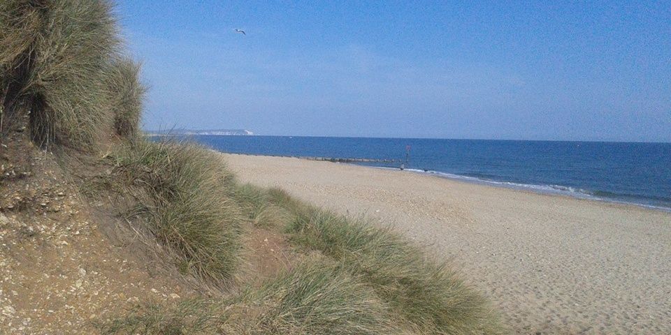 CharmaineHalliw's profile banner image