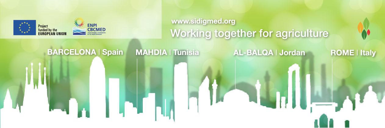 SidigMed's profile banner image