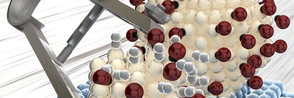 CharlotVogtLab Profile Banner