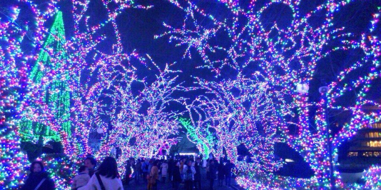 risa121112's profile banner image