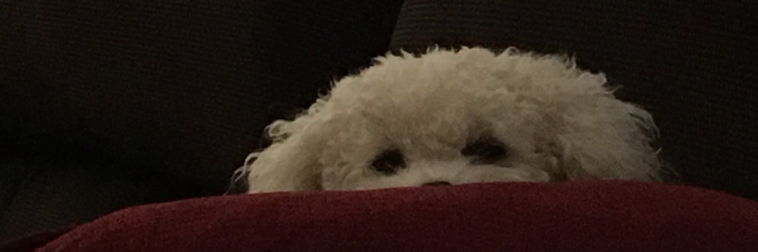 Almost an Empty Nester banner