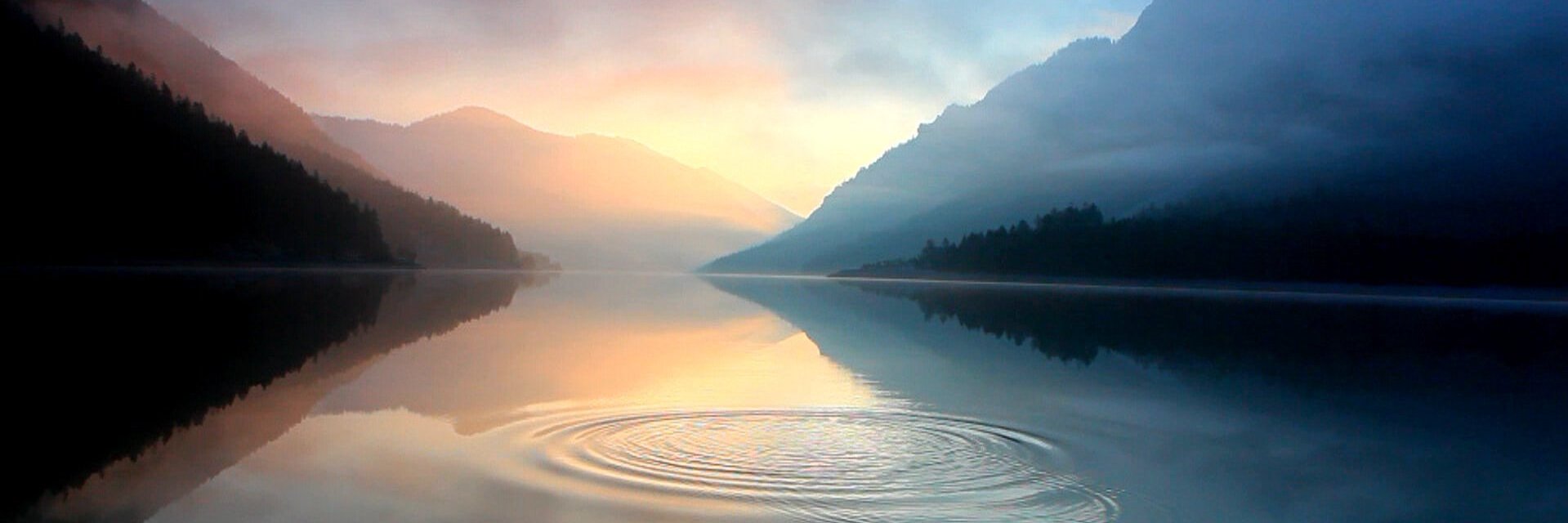 Christopher Brown banner