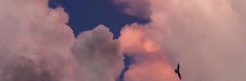 meeylla7's profile banner image