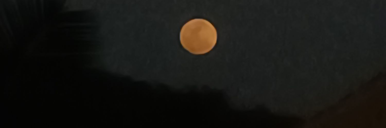 ThiagoTabosaL's profile banner image