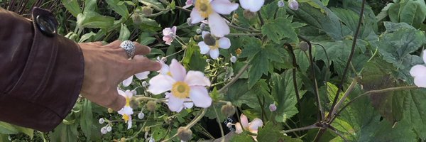 varas___ Profile Banner