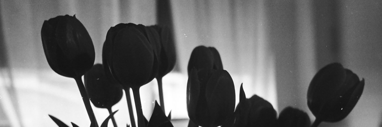 diva_incomprise's profile banner image